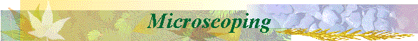 Microscoping