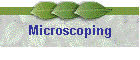 Microscoping