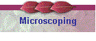 Microscoping