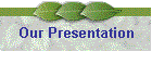 Our Presentation
