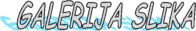 GALERIJA SLIKA